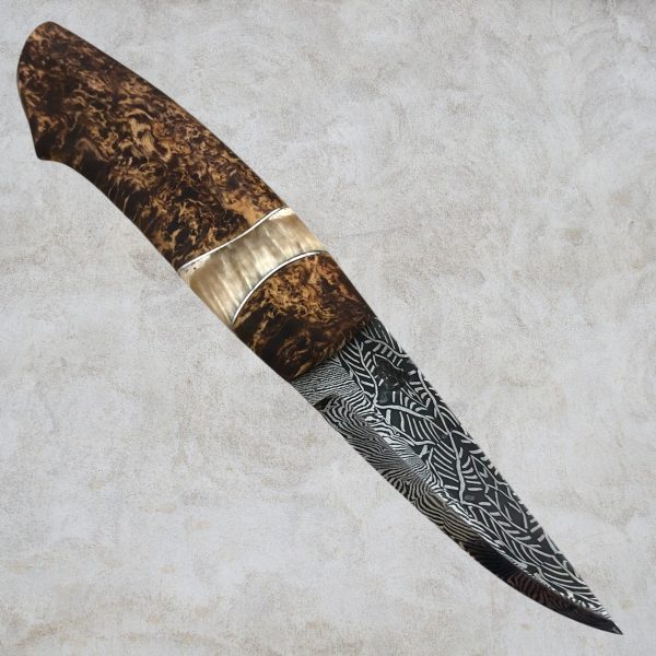 Moskus horn