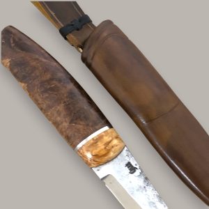 Desert ironwood