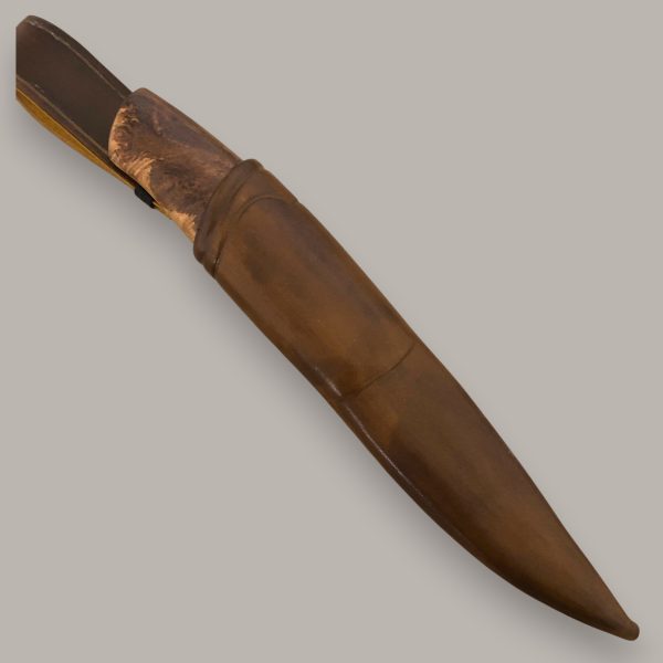 Desert ironwood