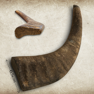 BØFFELHORN - Nr.223